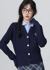 Academy Style Knit Sweater With Polo Collar