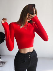 Black Long Sleeve High Neck Crop Top