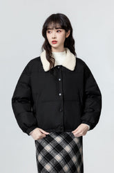 Black Short Collar Coat