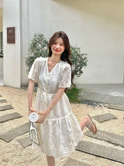 Embroidered Puff Sleeve V Neck A Line Dress