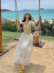 French Style Mesh Panel Skirt And Hollow Top Set