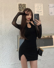Black Fitted Dress With Mesh Sleeves