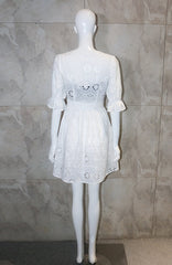 White Embroidery V-Neck Dress