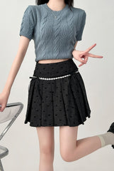 Pleated High Waist A Line Black Mini Skirt