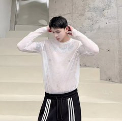 White Hollow Net Long Sleeves Top