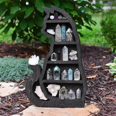 Cat Crystal Shelf