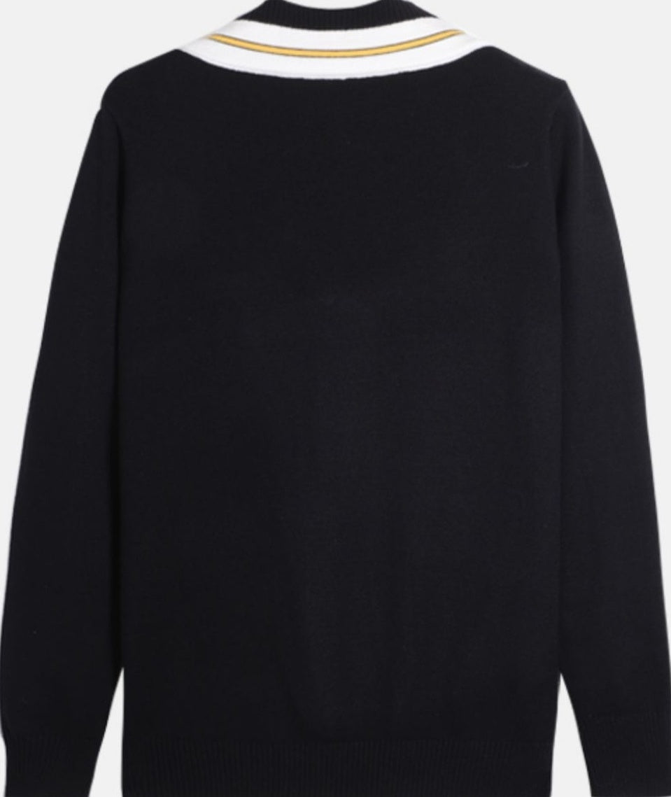 Black Bee Embroidered V-Neck Sweater