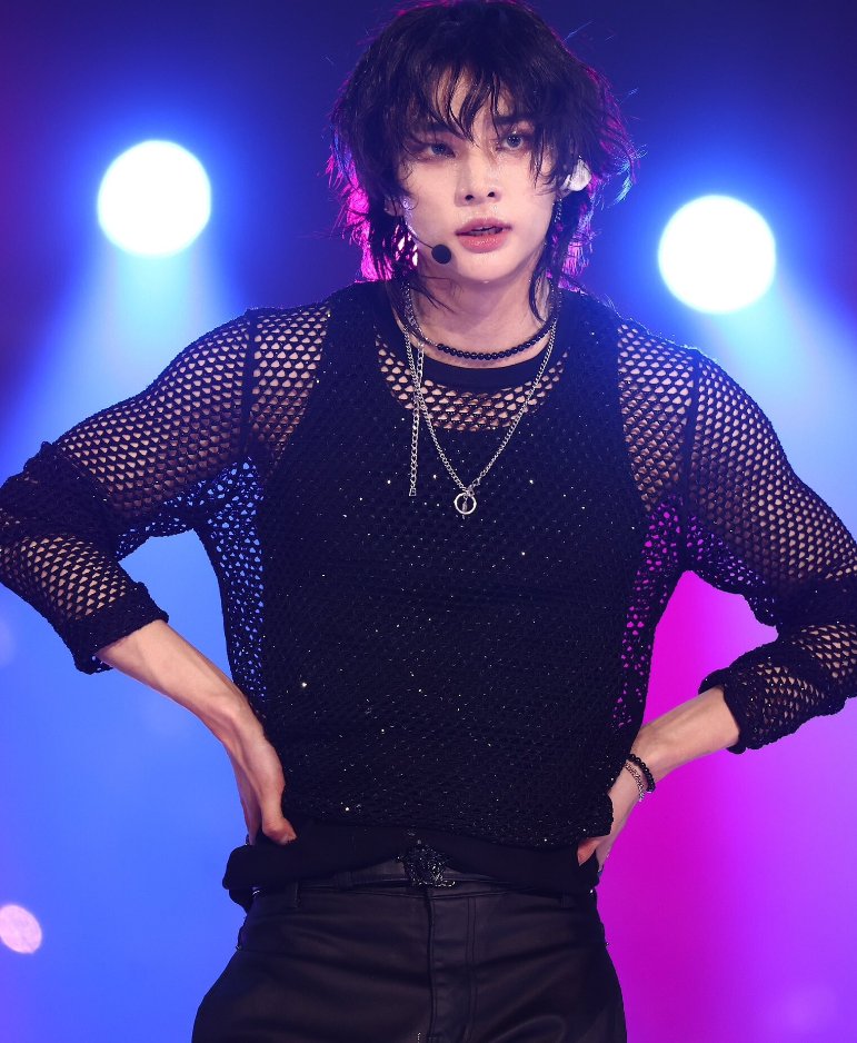 Black Hollow Mesh Net  Top