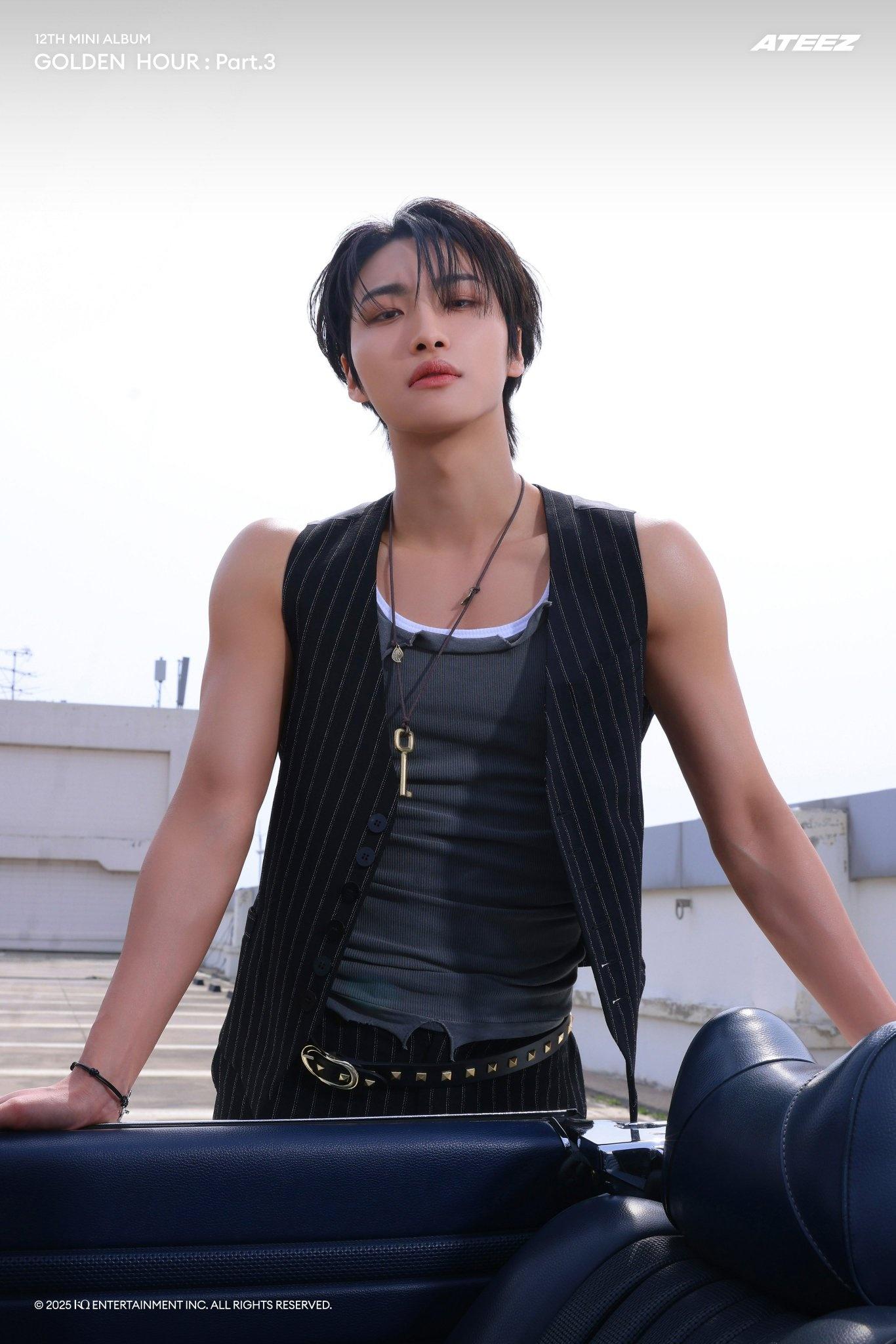 Black Striped Button-Down Vest