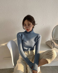 Blue Knitted Turtleneck Top
