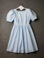 Blue Puff Sleeve A-Line Dress