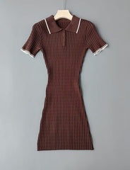 Brown Ribbed Polo Knit Mini Dress