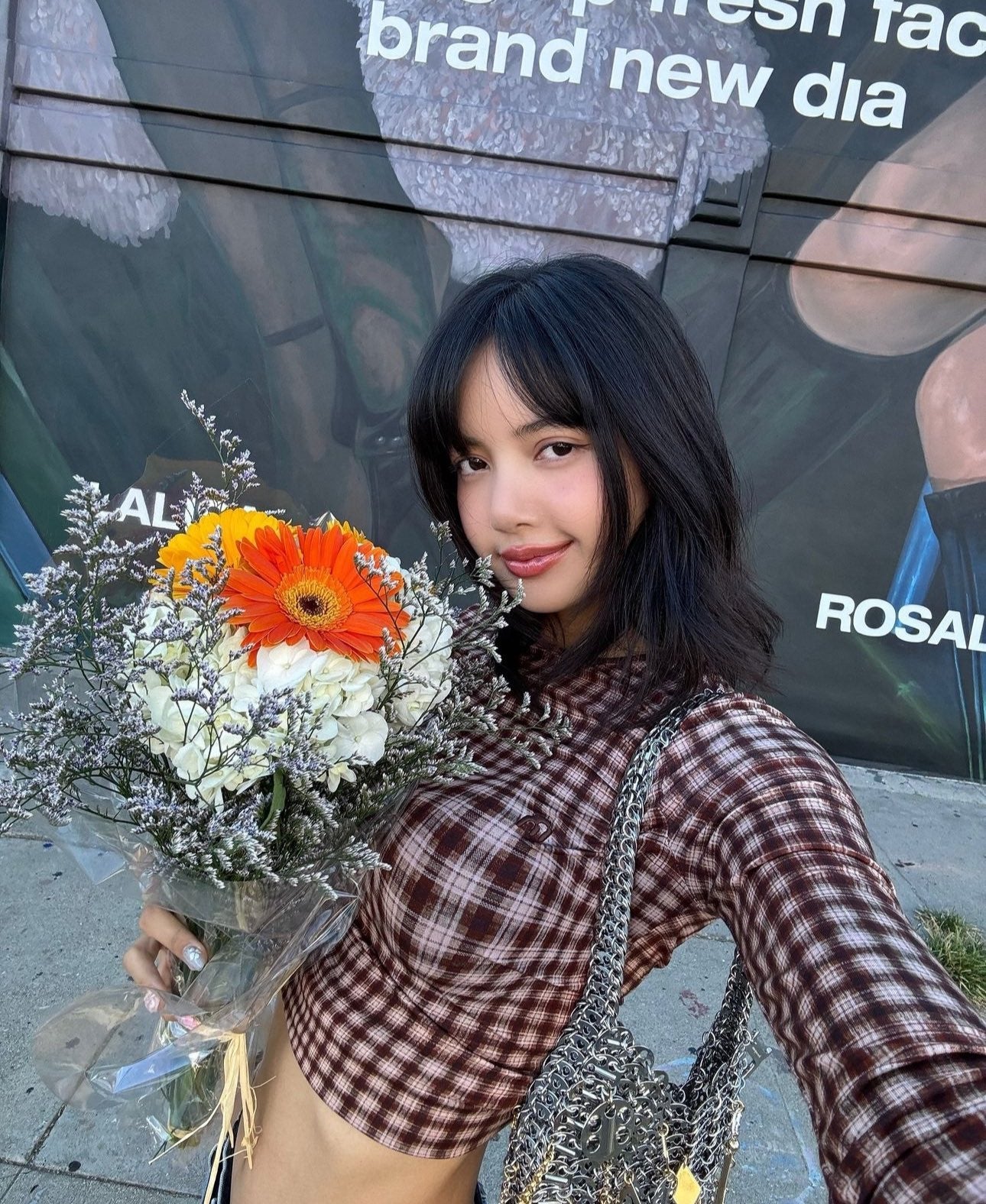 Brown Warped Plaid Sheer Top