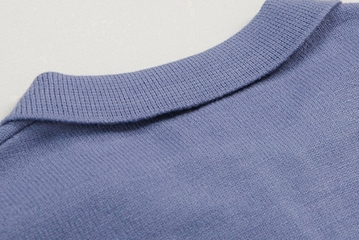 Cozy Knit Polo Sweater