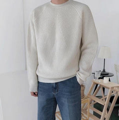 Cozy Knit Pullover Sweater