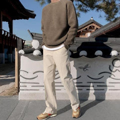 Cozy Knit Pullover Sweater