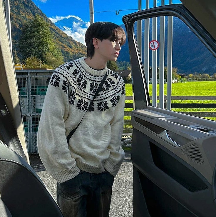 Cozy Knit Pullover Sweater
