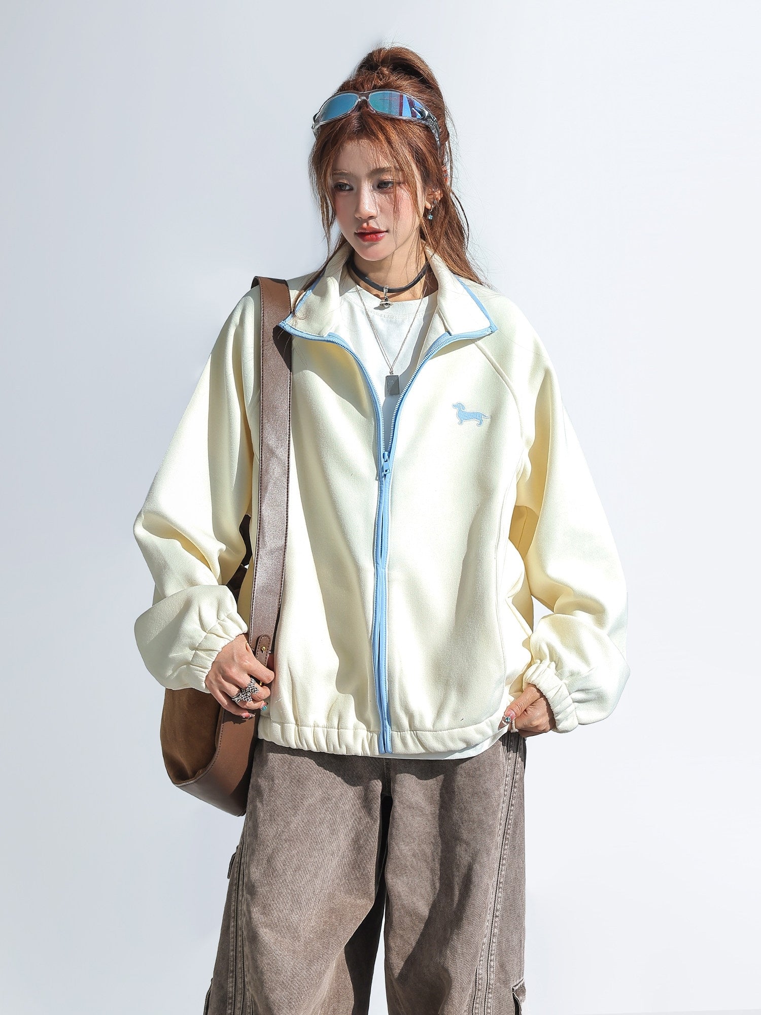 Cute Colorblock Dachshund Embroidered Stand Collar Sweatshirt Jacket
