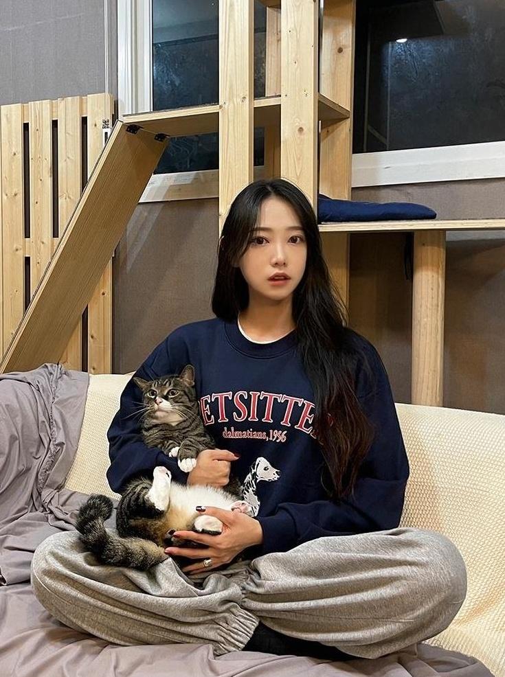 Dog Print Casual Pullover Sweater