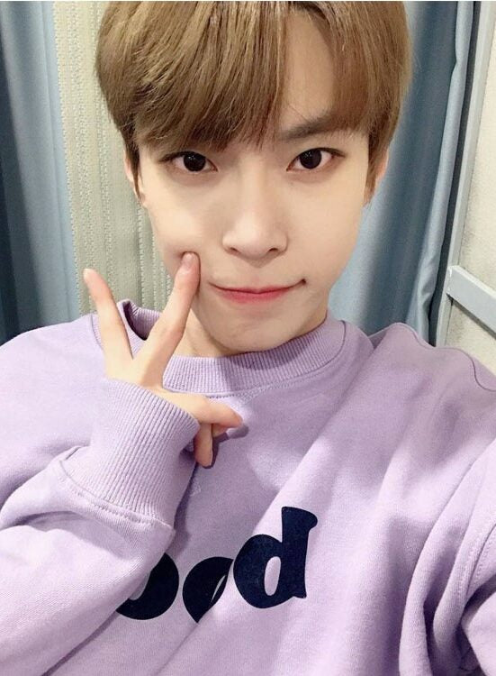 Lilac Booze Sweatshirt