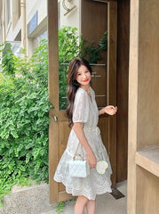 Embroidered Puff Sleeve V Neck A Line Dress