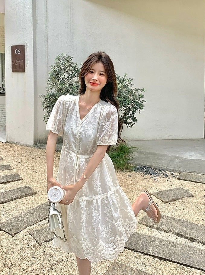 Embroidered Puff Sleeve V Neck A Line Dress