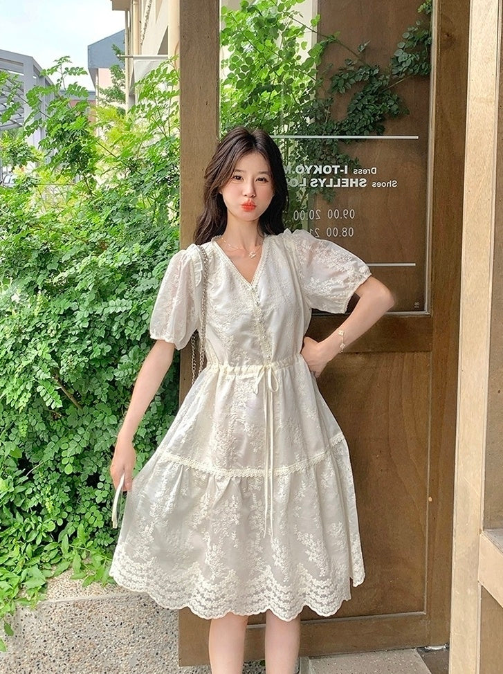 Embroidered Puff Sleeve V Neck A Line Dress