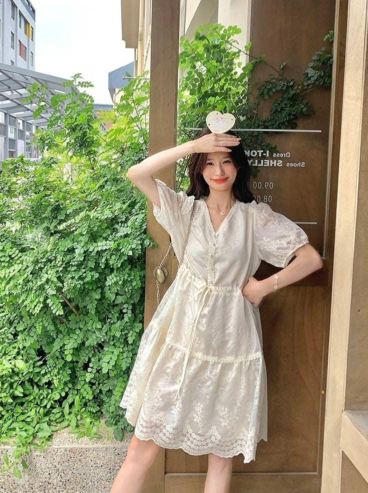 Embroidered Puff Sleeve V Neck A Line Dress