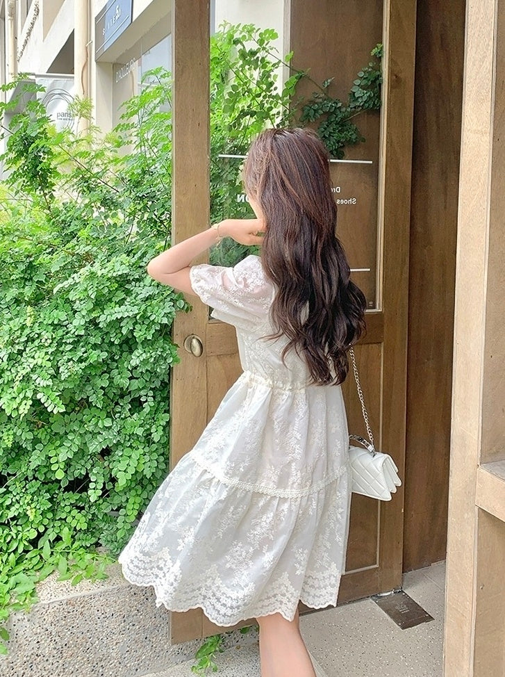Embroidered Puff Sleeve V Neck A Line Dress