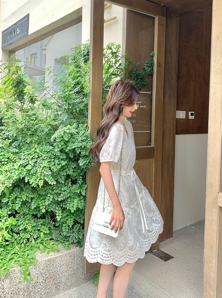 Embroidered Puff Sleeve V Neck A Line Dress
