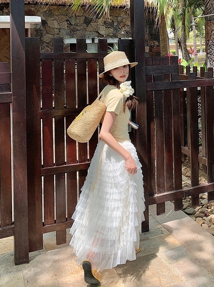 French Style Mesh Panel Skirt And Hollow Top Set