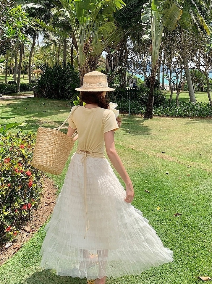 French Style Mesh Panel Skirt And Hollow Top Set