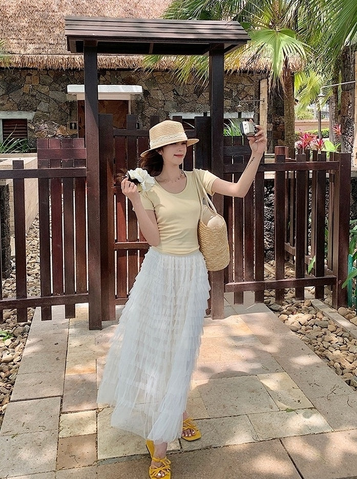 French Style Mesh Panel Skirt And Hollow Top Set