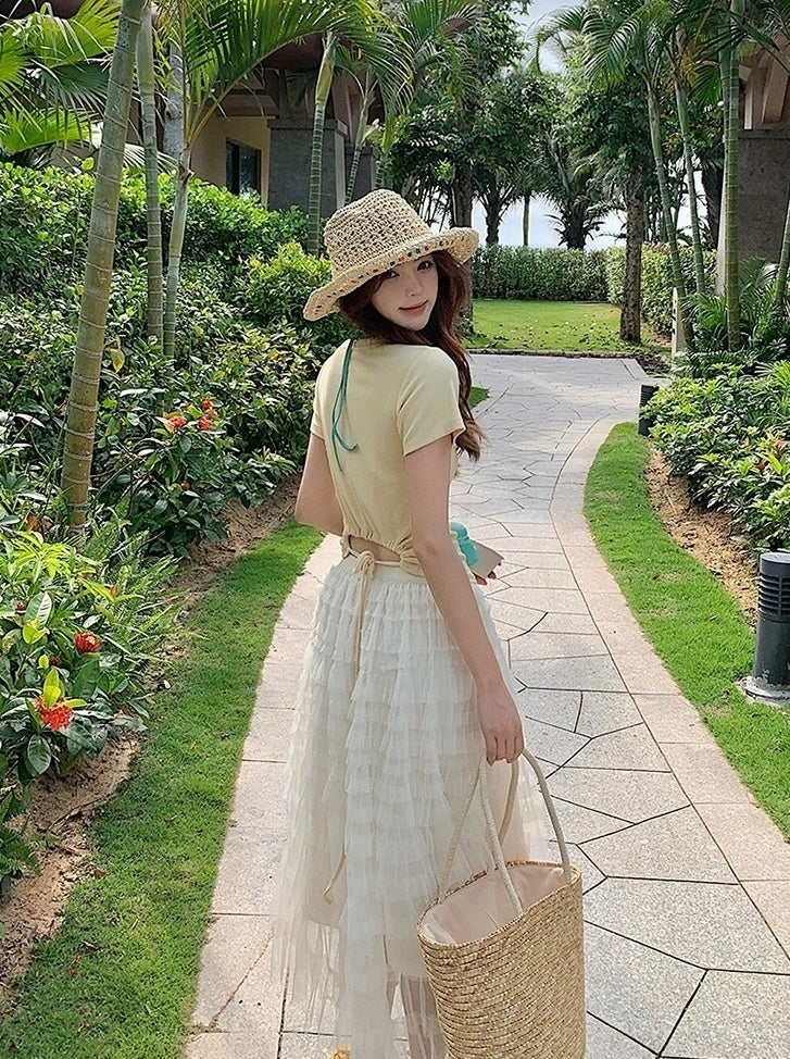 French Style Mesh Panel Skirt And Hollow Top Set
