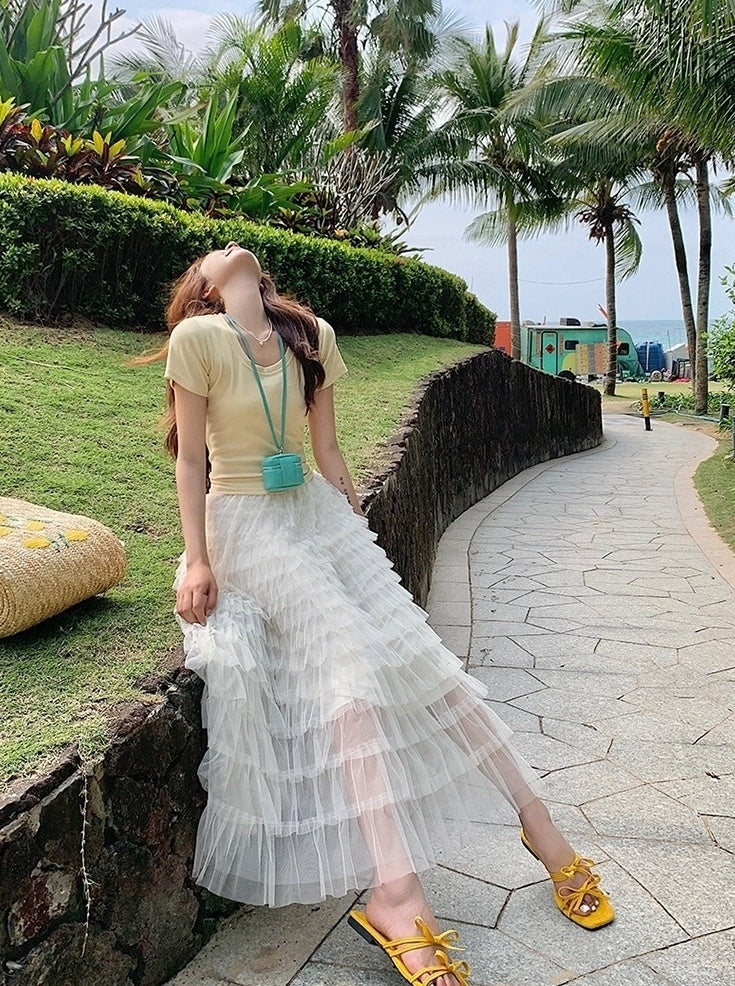 French Style Mesh Panel Skirt And Hollow Top Set