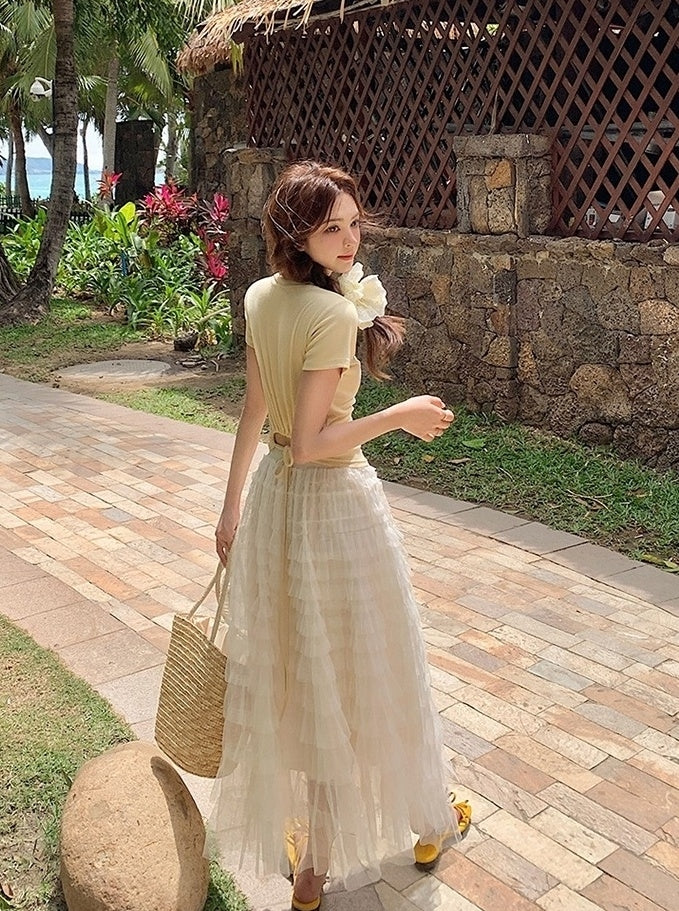 French Style Mesh Panel Skirt And Hollow Top Set