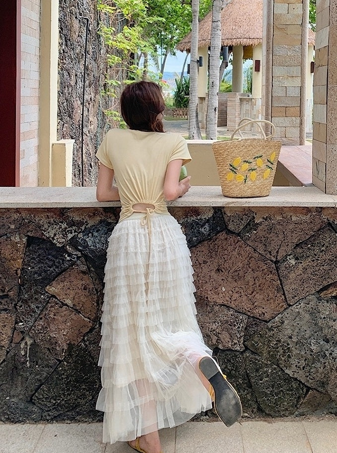 French Style Mesh Panel Skirt And Hollow Top Set