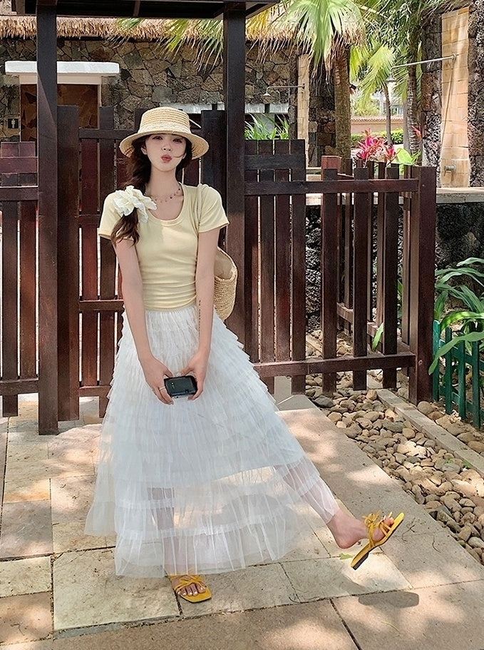 French Style Mesh Panel Skirt And Hollow Top Set