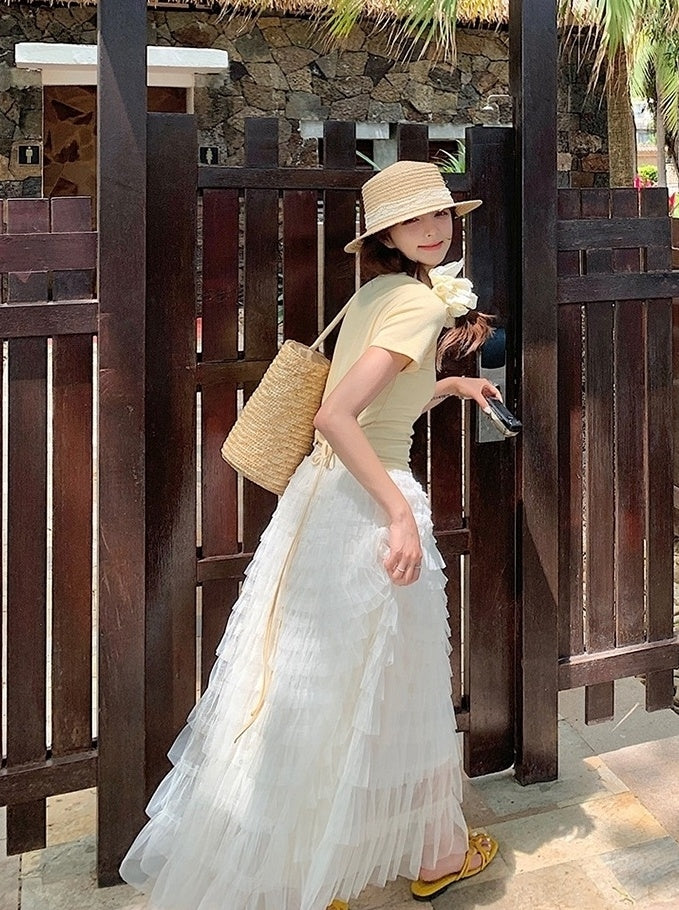 French Style Mesh Panel Skirt And Hollow Top Set