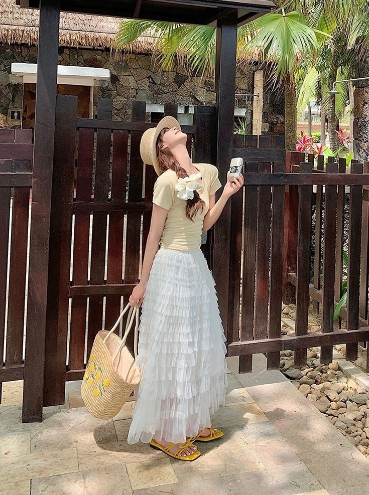 French Style Mesh Panel Skirt And Hollow Top Set