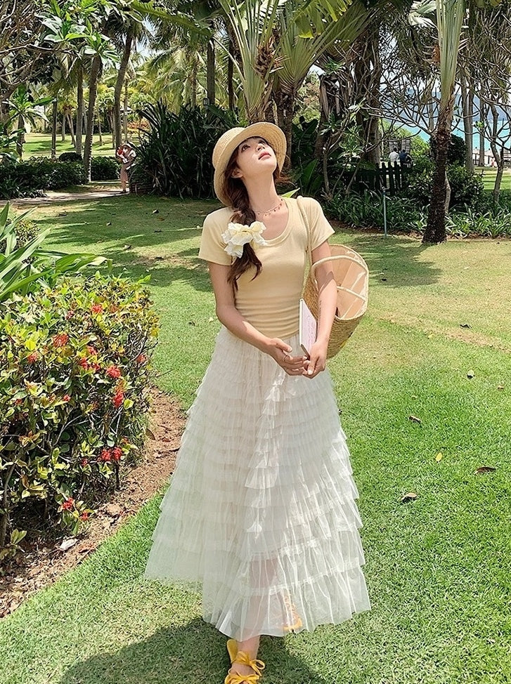 French Style Mesh Panel Skirt And Hollow Top Set