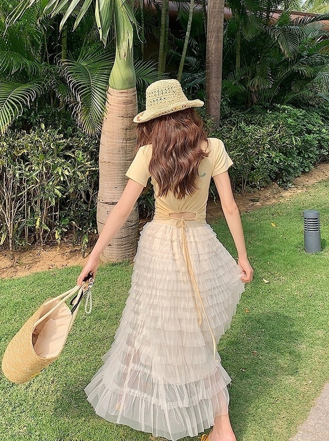 French Style Mesh Panel Skirt And Hollow Top Set