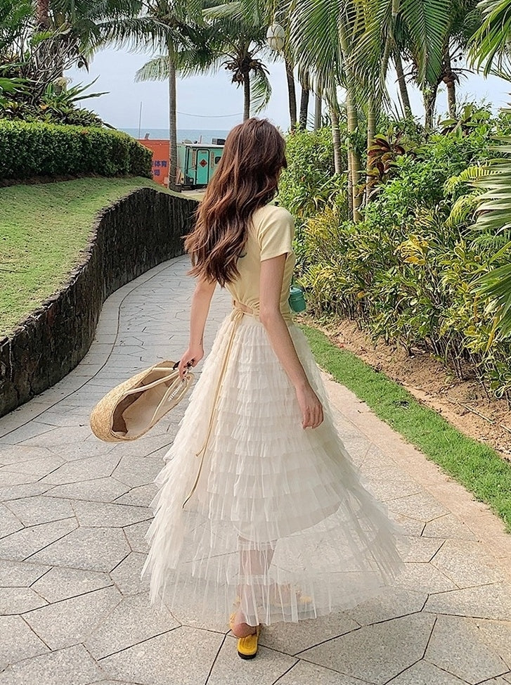 French Style Mesh Panel Skirt And Hollow Top Set
