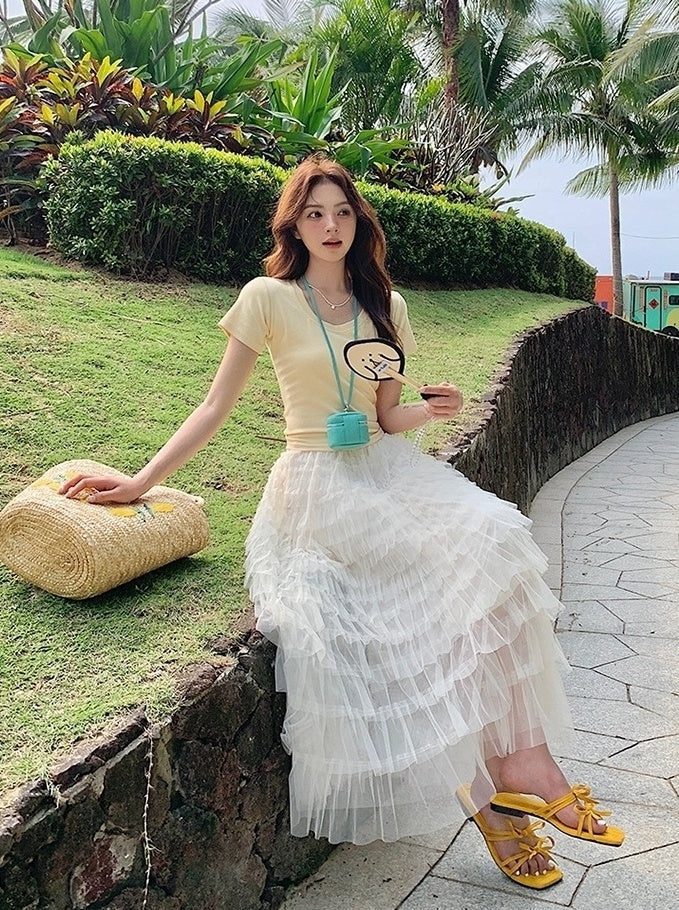 French Style Mesh Panel Skirt And Hollow Top Set