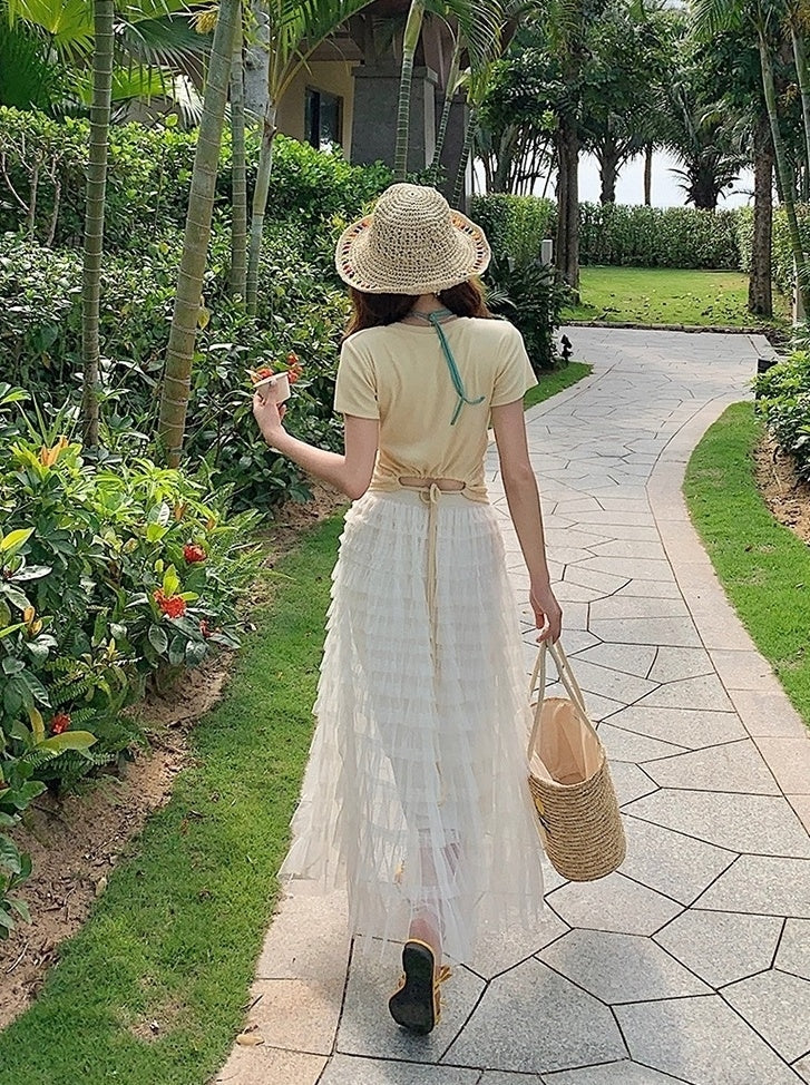 French Style Mesh Panel Skirt And Hollow Top Set
