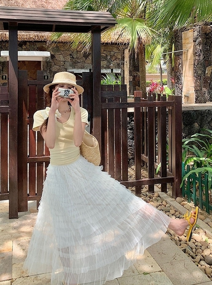 French Style Mesh Panel Skirt And Hollow Top Set