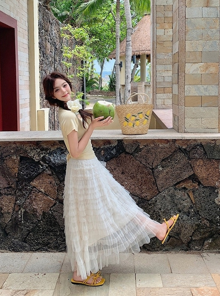 French Style Mesh Panel Skirt And Hollow Top Set