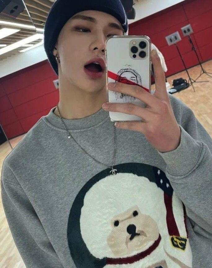 Grey Cartoon Puppy Print Sweatshirt