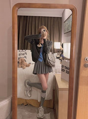 Grey Pleated School Girl Skirt