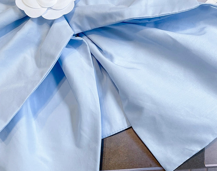 Sky Blue Big Ribbon Crop Top